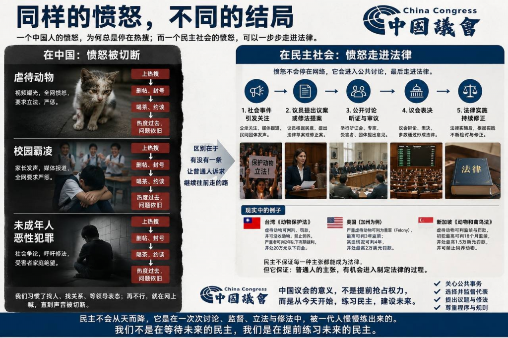我们为什么现在就要开始练习民主？